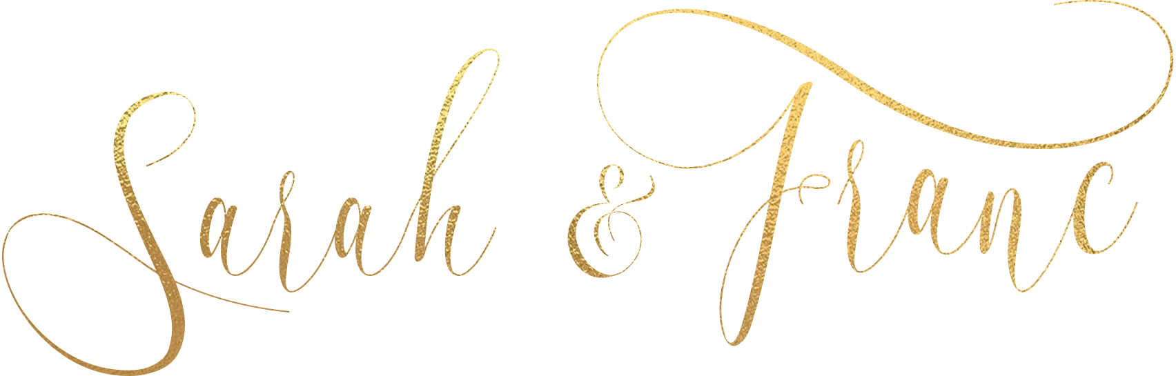 light logo